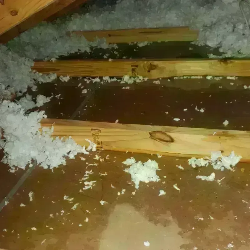 Attic Water Damage in Animas, PR